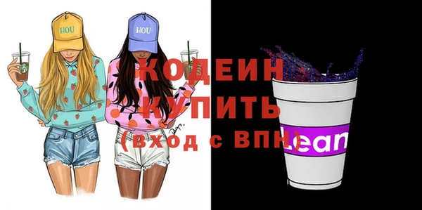 индика Горнозаводск