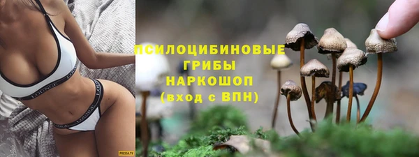 гидропоника Горно-Алтайск