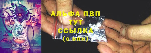 индика Горнозаводск